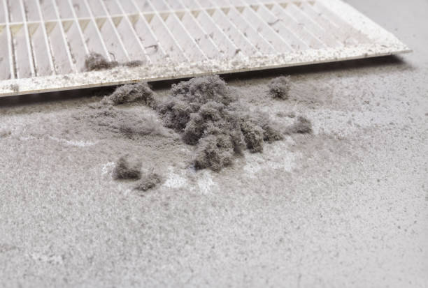 Best HVAC Air Duct Cleaning  in Prceton, IN
