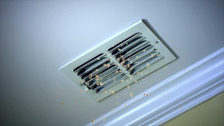 Best Best Air Duct Cleaning Near Me  in Prceton, IN