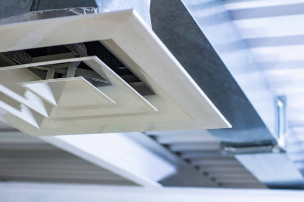 Best Professional Duct Cleaning Services  in Prceton, IN