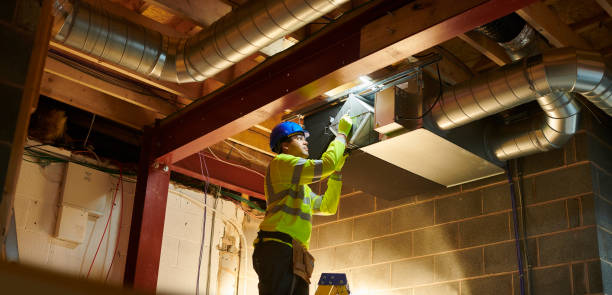 Best Local Air Duct Cleaning Services  in Prceton, IN